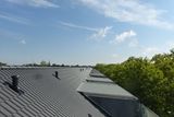 Dachstühle + Dachgauben für Wohnblock in Köln