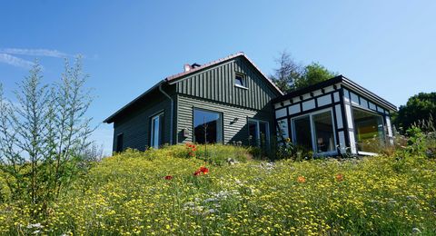 neugebautes Wohnhaus mit Blumenwiese