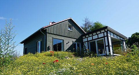 neugebautes Wohnhaus mit Blumenwiese