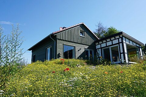 neugebautes Wohnhaus mit Blumenwiese