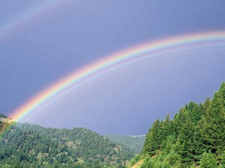 Die Holzrahmenbauweise bietet vielfältige Möglichkeiten